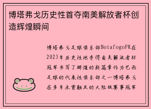 博塔弗戈历史性首夺南美解放者杯创造辉煌瞬间